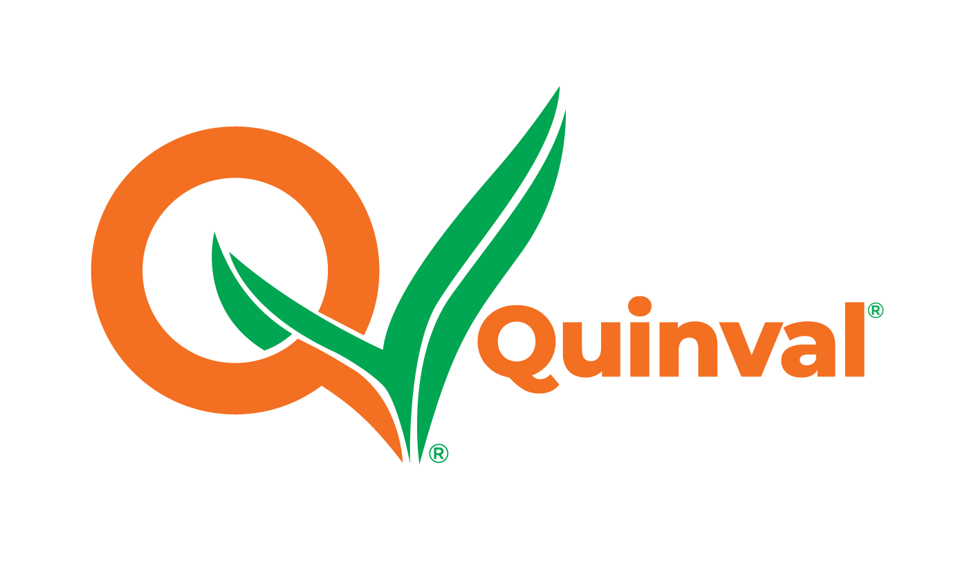 Logo Quinval
