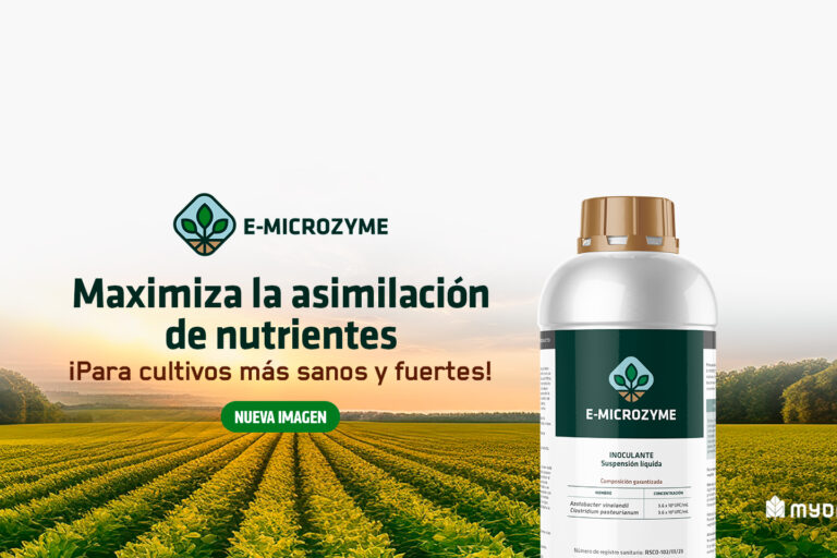 EMICROZYME