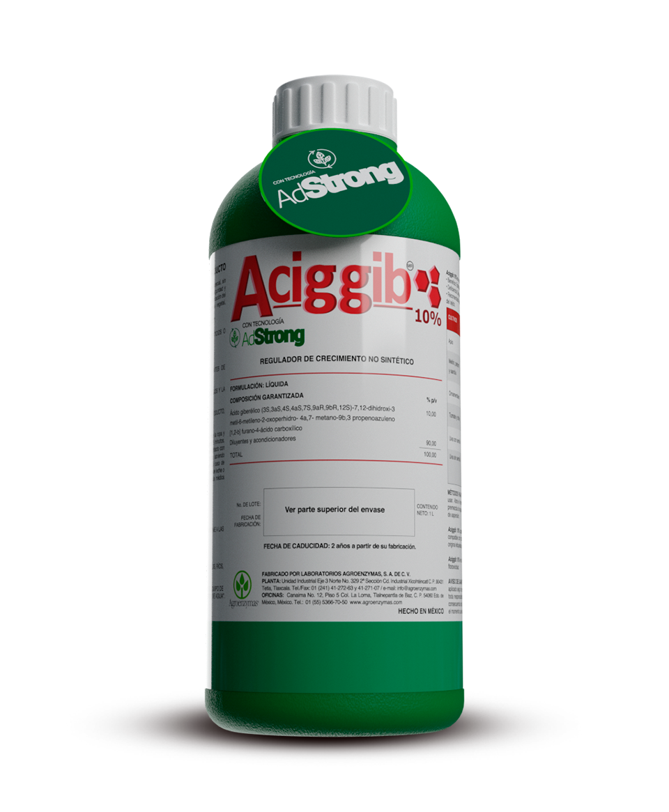 Aciggib