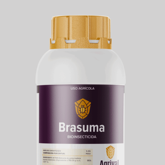 Brasuma