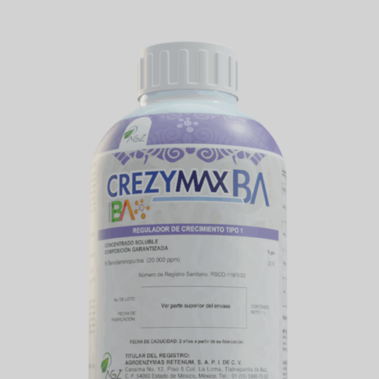 CrezymaxBA
