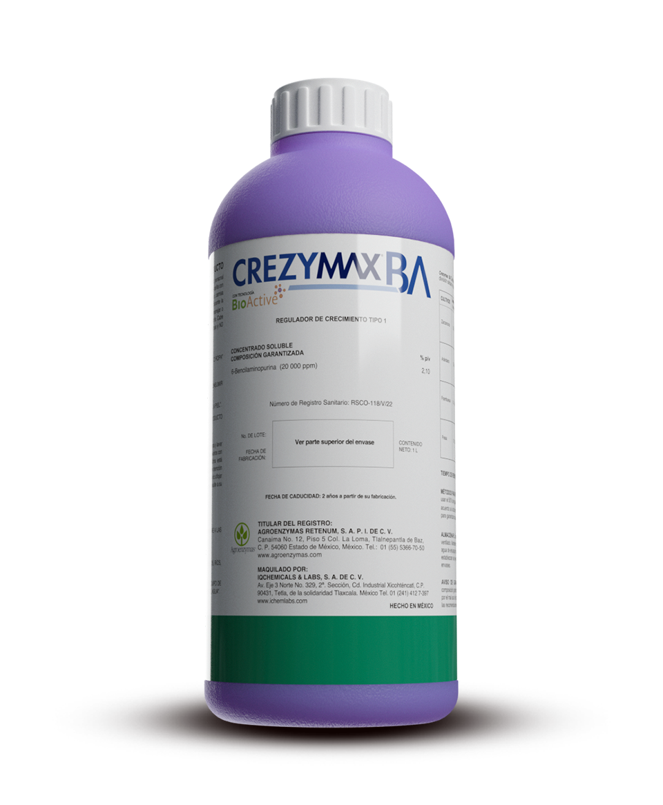 CrezymaxBA
