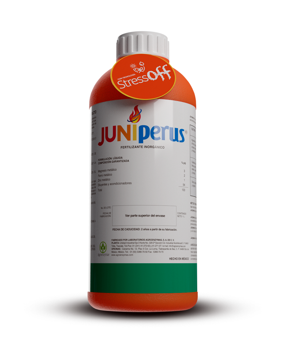 Juniperus