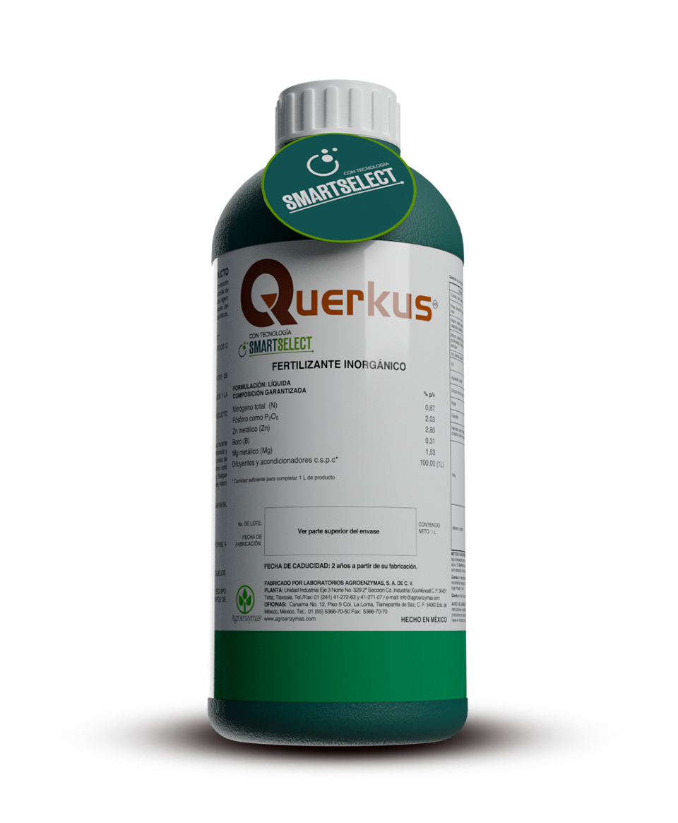 Querkus