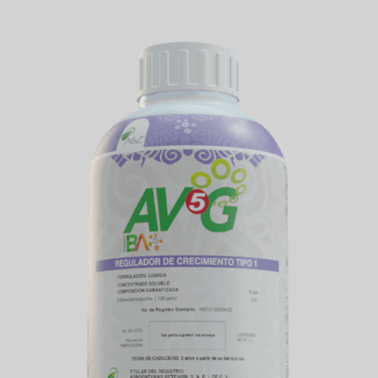 AV5G