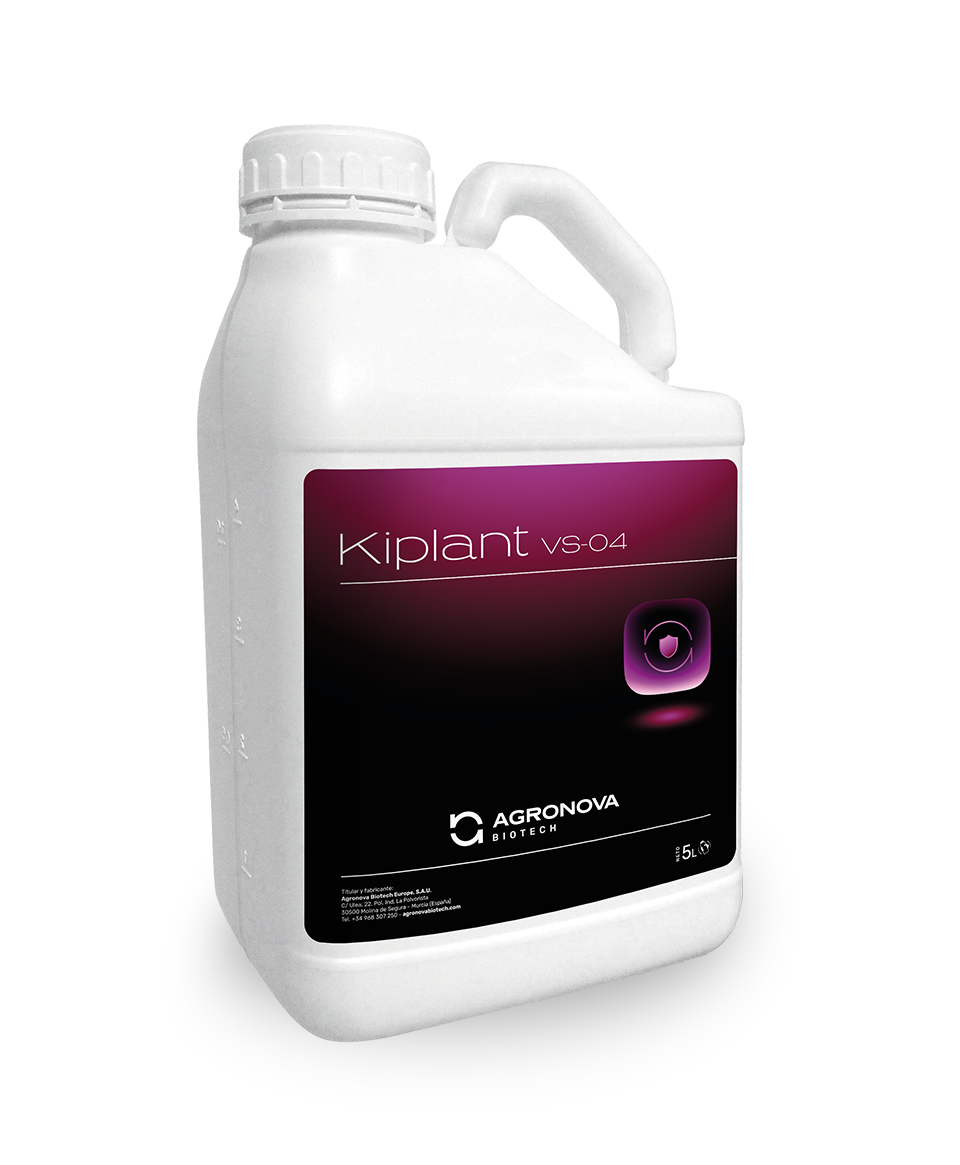 Kiplant VS-04 - Image 3