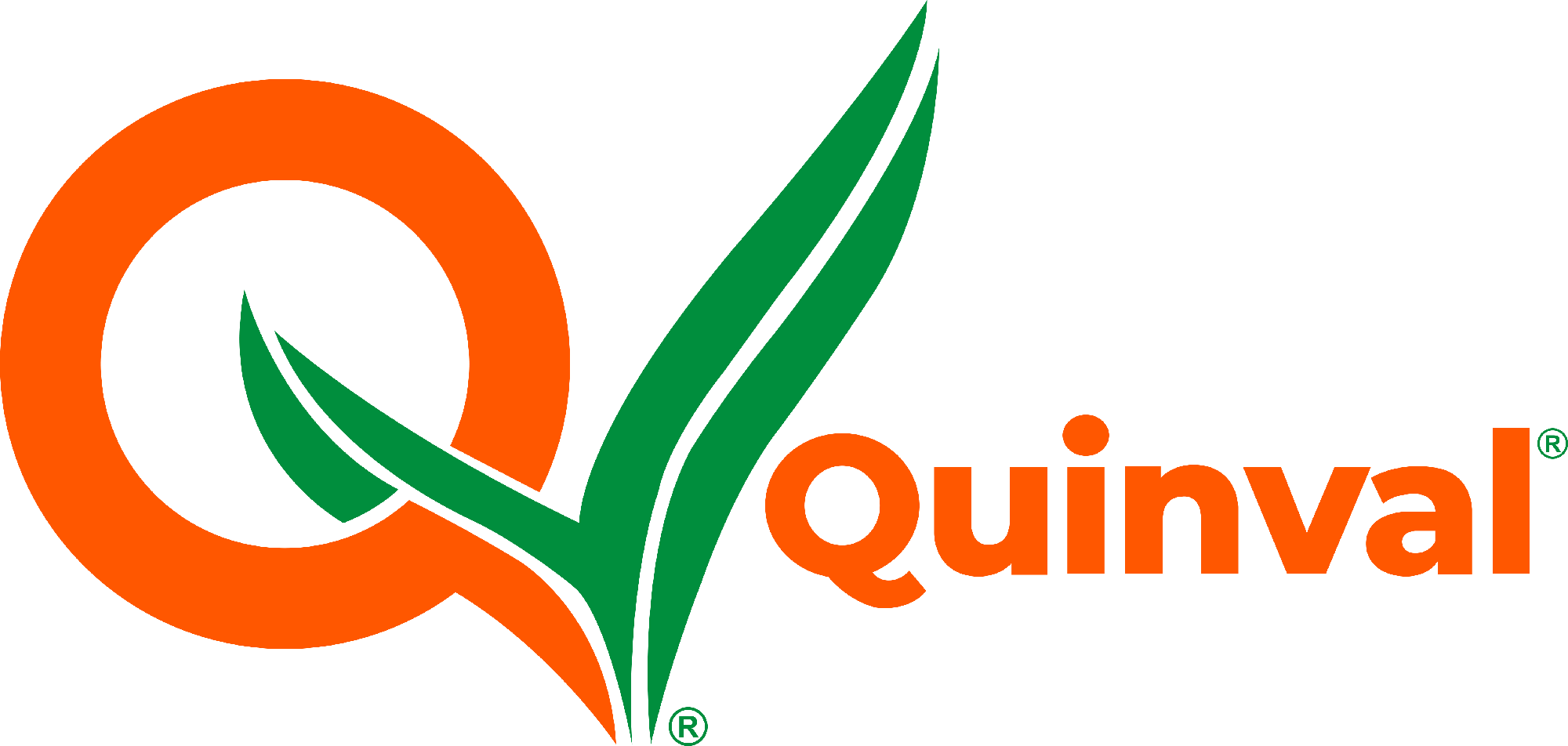 Logo sitio quinval